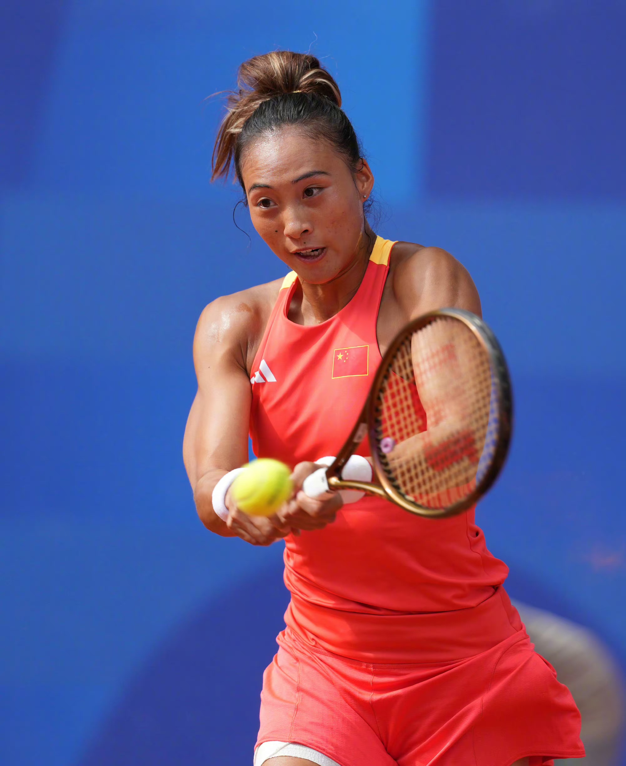 尼苏达维京 尼苏达维京